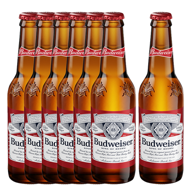 Budweiser Bottle 330ml 6+1 Bundle